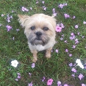 Meet your Posher, Lindsey